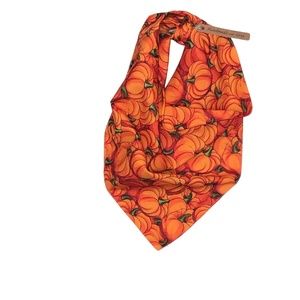 Multi-Use Handmade Pumpkin Bandana/Pet Bandana